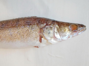 Krok 2