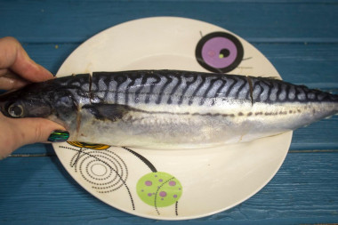 Krok 5