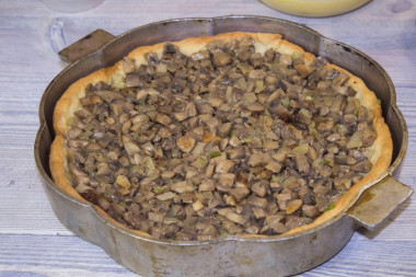 Krok 19
