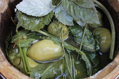 Krok 25