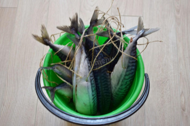 Krok 5