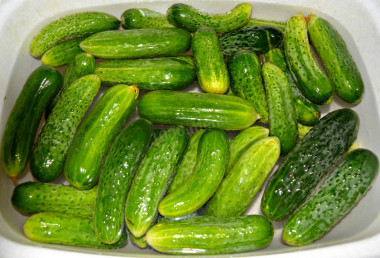 Krok 1