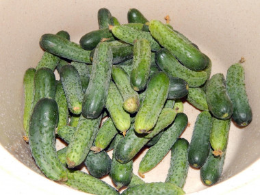 Krok 1