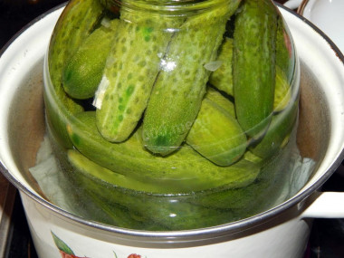 Krok 6