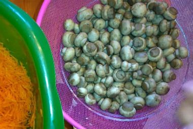 Krok 4
