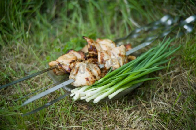 Szaszłyk z kurczaka na piwie z mlekiem przepis ze zdjęciami krok po kroku