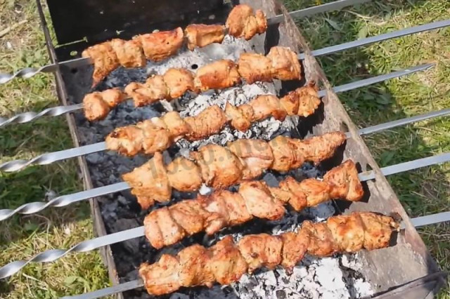 Szaszłyk z cielęciny na wodzie gazowanej przepis ze zdjęciami krok po kroku