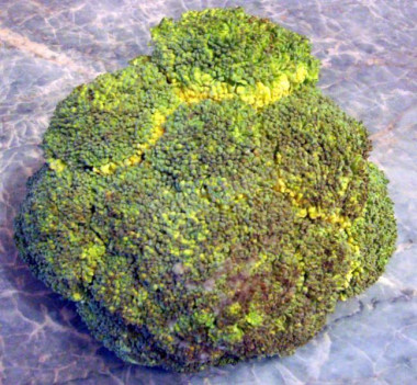 Krok 1