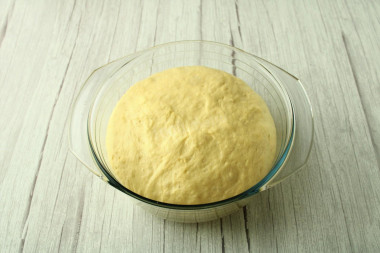 Krok 15