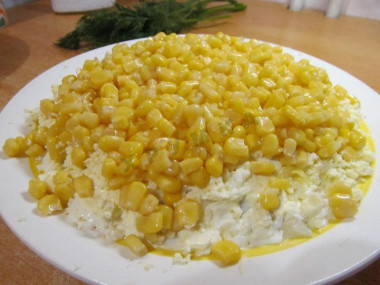 Krok 14