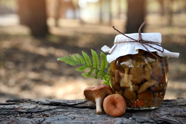 Marynowane grzyby Ryzhiki na zimę-prosty i pyszny przepis, jak gotować krok po kroku