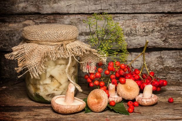 Marynowane russula na zimę