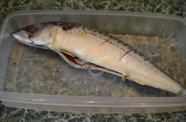 Krok 8